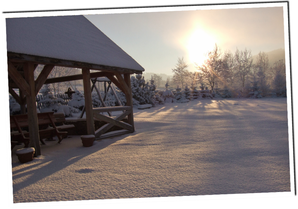 baner0003.png