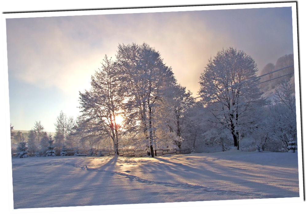 baner0004.png